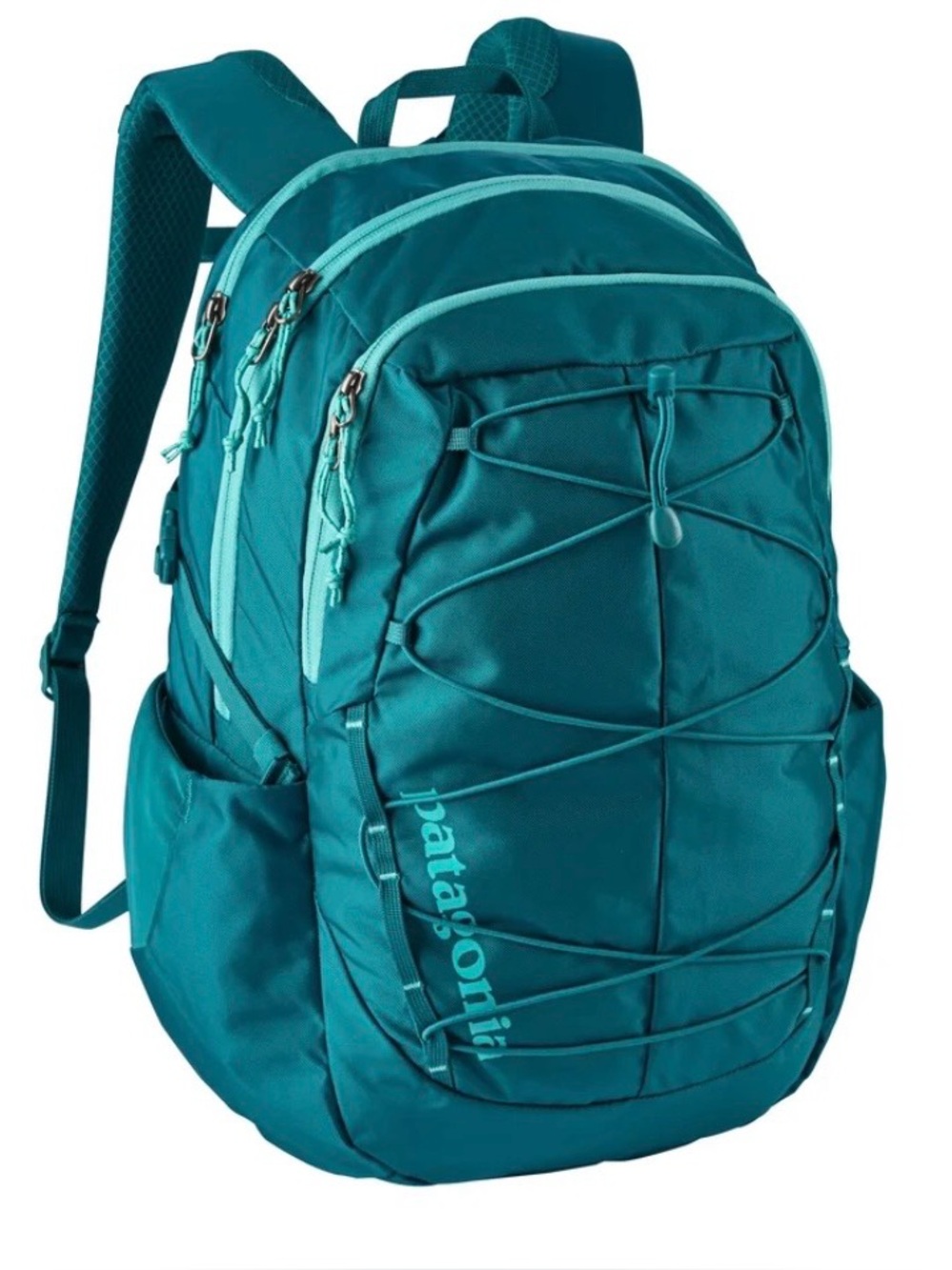 Patagonia Backpack